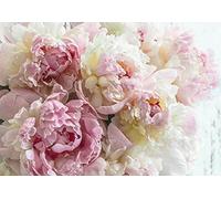 Wallarena Papier Peint Intissé Fleurs Pivoine Géante Rose Chambre Photo Non Tissé Résistant Aux UV Inodore Haute Résolution Prêt pour le montage (13817, VEXXL (312x219 cm) 3 lés)