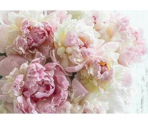 Wallarena Papier Peint Intissé Fleurs Pivoine Géante Rose Chambre Photo Non Tissé Résistant Aux UV Inodore Haute Résolution Prêt pour le montage (13817, V8 (368x254 cm) 4 lés)