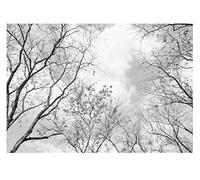 WallArena - Papier peint non tissé couronnes d'arbres forêt noir blanc arbre ciel 250x175 cm - Papiers peints - Tapisseries - pour salon chambre à coucher - Papier peint non tissé mural effet 3D