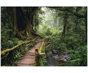 WallArena - Papier peint panoramique intissé Forêt 350x250 cm - Papier peint photo non tissé - Pour salon et chambre à coucher - Effet 3D - Avec colle - Paysage, nature, vert