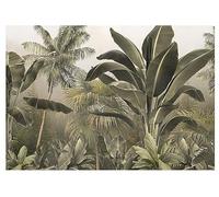 WallArena Papier Peint Panoramique Intissé Jungle Feuilles Forêt tropicale 368x254 cm Chambre à coucher Salle de séjour Photo Non Tissé Muraux Moderne Trompe l'oeil
