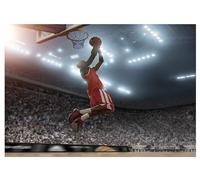 Wallarena Papier peint photo intissé, basket-ball, 368x254cm