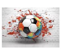 WallArena Papier peint photo intissé football368x254cm