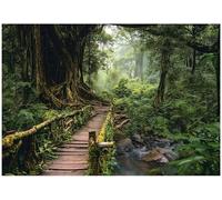 WallArena Papier peint photo intissé, Forêt, 350x250cm