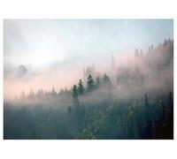 WallArena Papier peint photo intissé, Forêt, 350x250cm