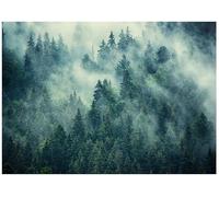 WallArena Papier peint photo intissé Forêt350x250cm