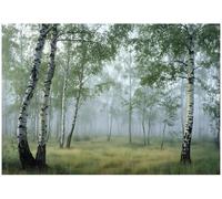 WallArena Papier peint photo intissé, Paysage, 250x175cm