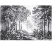 WallArena Papier peint photo intissé, Paysage, 300x210cm