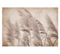 WallArena - Papier peint photo non tissé - Herbe de la pampa - Plantes - Beige - Champ bohème - 368 x 254 cm - Papier peint photo - Pour salon et chambre à coucher - Effet 3D - Avec colle