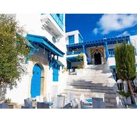 WallArena Papier peint photo non tissé - Motif fleurs - 254 x 184 cm - Papier peint photo - Pour salon et chambre à coucher - Effet 3D - Avec colle - Multicolore