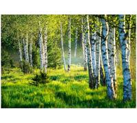 WallArena - Papier peint photo non tissé - Motif forêt - 300 x 210 cm - Papier peint photo - Pour salon et chambre à coucher - Effet 3D - Avec colle - Paysage de bouleaux naturel - Vert