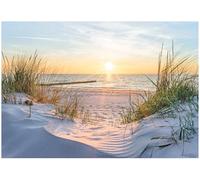 WallArena - Papier peint photo non tissé - Motif plage et mer du Nord - Nature - Dunes et soleil - 250 x 175 cm - Papier peint photo - Pour salon et chambre à coucher - Effet 3D - Avec colle