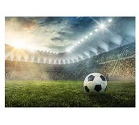 WallArena - Papier peint photo non tissé pour chambre d'enfant - 312 x 219 cm - Motif : football, chambre d'adolescent - Style Art nouveau - Pour enfants - Effet 3D