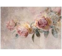 WallArena - Papier peint photo non tissé - Roses pivoines - 400 x 280 cm - Papier peint photo - Pour salon et chambre à coucher - Effet 3D - Avec colle - Fleurs vintage beige naturel