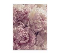 WallArena Poster Fleurs Roses Roses Pivoines 30x40 cm Format Vertical - SANS CADRE XXL Affiche Murale Impression Photo Tableau Mural Images Murales Image sur Poster Salon Chambre à Coucher Cuisine