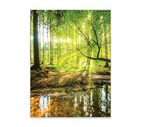 WallArena Poster Nature Forêt Vert Paysage 30x40 cm Format Vertical - SANS CADRE XXL Poster Mural Impression d'Art Photoposter Tableau Mural Images Murales Image sur Poster Salon Chambre à Coucher