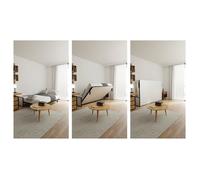 Wallbedking Lit escamotable Morphy Studio - Système Multifonction modulaire SizeFlex & TypeFlex (120x190 cm, Horizontal)