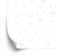 Wallero Papier peint intissé Graines décoratives plantes 50×1000 cm