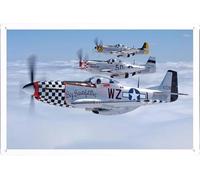 Waller's Decor Plaque rétro en métal Motif avion #512412 North American P 51 Mustang by Waller's Decor Décoration murale vintage 20,3 x 30,5 cm