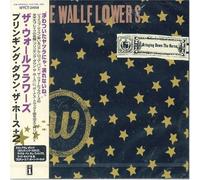 Wallflowers - Bringing Down Horse