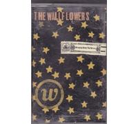 Wallflowers - Bringing Down The Horse