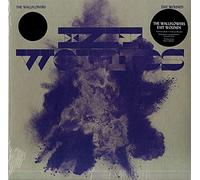Wallflowers - Exit Wounds [Import]