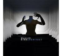 WALLIS BIRD - ARCHITECT - Vinyl Record CD - E1111z
