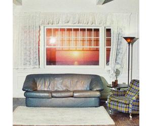 Wallows - Model [Musikkassette]