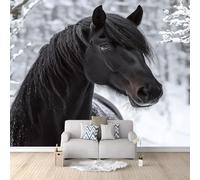 Wallpaper Papier Peint Panoramique Majestueux cheval noir sur neige Peints Intissé Tapisserie Noir Et Blanc Murales Poster 350 x 256 cm