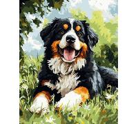 Wallphantom Animal chien Bouvier bernois Peinture par Numéro Adulte,paysage d'herbe,Kit de peinture à l'huile sur toile,Activité Manuelle Kit de Loisir Créatif DIY Numéro d'Art,40x50cm avec cadre