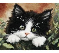 Wallphantom animal DIY Craft Latch Hook Rug Kit,Un mignon chat noir et blanc,Latch Hook Kits for Adults,Printed Unfinished Rug DIY Crochet Christmas Rug Making,80x160cm