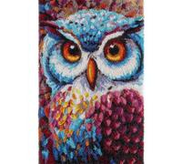 Wallphantom Animal Oiseau Kit de fabrication de tapis pour adultes,hibou,DIY Craft Latch Hook Rug Kit,Cushion Knitting Patterns Printed Decorations Home Gift,60x90cm