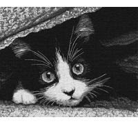 Wallphantom animal Tapis Kit Tricot Débutants,Un mignon chat noir et blanc,Diy Latch Hook Rug,Kit De Crochet Fabrication De Tapis Avec Toile Imprimée,Décoration de La Maison Cadeau,52x38cm