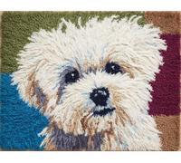Wallphantom Chien animal DIY Craft Latch Hook Rug Kit,chien blanc,Latch Hook Kits for Adults,Printed Unfinished Rug DIY Crochet Christmas Rug Making,55x75cm