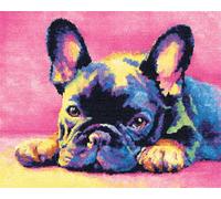 Wallphantom Chien animal Kit Crochet Debutant Complet,Bouledogue français,Diy Craft Latch Hook Rug De Broderie,Latch Hook Tapis Pour Adultes,Craft Kits Décoration,55x75cm