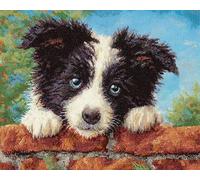 Wallphantom Chien animal Kit de crochet à loquet,Border Collie,Motif de tapis imprimé Pour enfants et adultes,Cadeau pour la famille,les amis - Travaux d'aiguille,90x120cm