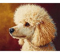 Wallphantom Chien animal Kit de Tapis à Crochet DIY pour Adultes et Enfants,Caniche mignon,Point de Croix,Crochage à Bouton - Décoration de La Maison,60x90cm