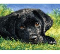 Wallphantom Chien animal Kit de Tapis à Crochet DIY pour Adultes et Enfants,Labrador retriever sur l'herbe,Point de Croix,Crochage à Bouton - Décoration de La Maison,55x75cm