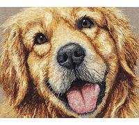 Wallphantom Chien animal Kit de Tapis de Crochet à Point Noué Set,Chiot Golden Retriever,Tapis à Point noué Loquet Bricolage,Création de Crocher pour Adultes et Enfants,90x120cm