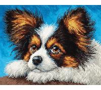 Wallphantom Chien animal Kit de Tapis de Crochet à Point Noué Set,Papillon,Tapis à Point noué Loquet Bricolage,Nouer Création de Crocher pour Adultes,90x120cm