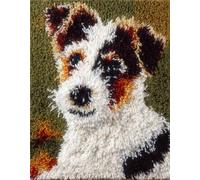 Wallphantom Chien animal Kits de Crochet de Loquet Point de Croix Kit,Beagle,CréAtion de Tapis,Tapis Point Noué à Faire,Latch Hook Kit de Tapisserie pour Adultes,55x75cm