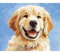 Wallphantom Chien animal Latch Hook Kit de tapis,Chiot Golden Retriever,DIY au crochet pour adultes et enfants débutants,pré-imprimé toile fil tapis kit crochets,80x160cm