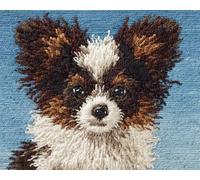 Wallphantom Chien animal Latch Hook Kit de tapis,Papillon,DIY au crochet pour adultes et enfants débutants,pré-imprimé toile fil tapis kit crochets,60x90cm