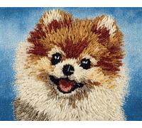 Wallphantom Chien animal Latch Hook Kit de tapis,Poméranien mignon,DIY au crochet pour adultes et enfants débutants,pré-imprimé toile fil tapis kit crochets,55x75cm