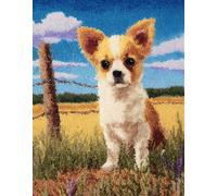 Wallphantom Chien animal Latch Hook Rug Kit,Chihuahua dans l'herbe,Printed Canvas Rug Latch Hook Kits,DIY Home Decor,Handmade Needlework Crafts for Adults Beginners,60x90cm