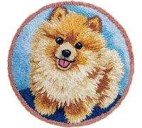 Wallphantom DIY Craft Latch Hook Rug Kit,chien Poméranien,Latch Hook Kits for Adults,Printed Unfinished Rug DIY Crochet Christmas Rug Making,50x50cm