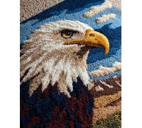 Wallphantom Kit Crochet Debutant Complet,Aigle à tête blanche,Diy Craft Latch Hook Rug De Broderie,Latch Hook Tapis Pour Adultes,Craft Kits Décoration,60x90cm