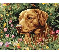 Wallphantom Kit de Peinture à l'huile sur Toile par Numéro,Chien de compagnie dans les fleurs sauvages,Peinture par Numéro Adulte,Activité Manuelle Kit DIY Numéro d'Art,40x50cm avec cadre