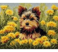Wallphantom Kit de Tapis à Crochet à Nouer Bricolage,Yorkshire Terrier et Pissenlit,Kit de Fabrication de Tapis pour Adultes Enfants,Point de Croix Décoration de La Maison,55x75cm