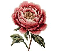 Wallphantom Kit de Tapis à Crochet DIY pour Adultes et Enfants,Fleurs de pivoine rouges,Point de Croix,Crochage à Bouton - Décoration de La Maison,55x75cm